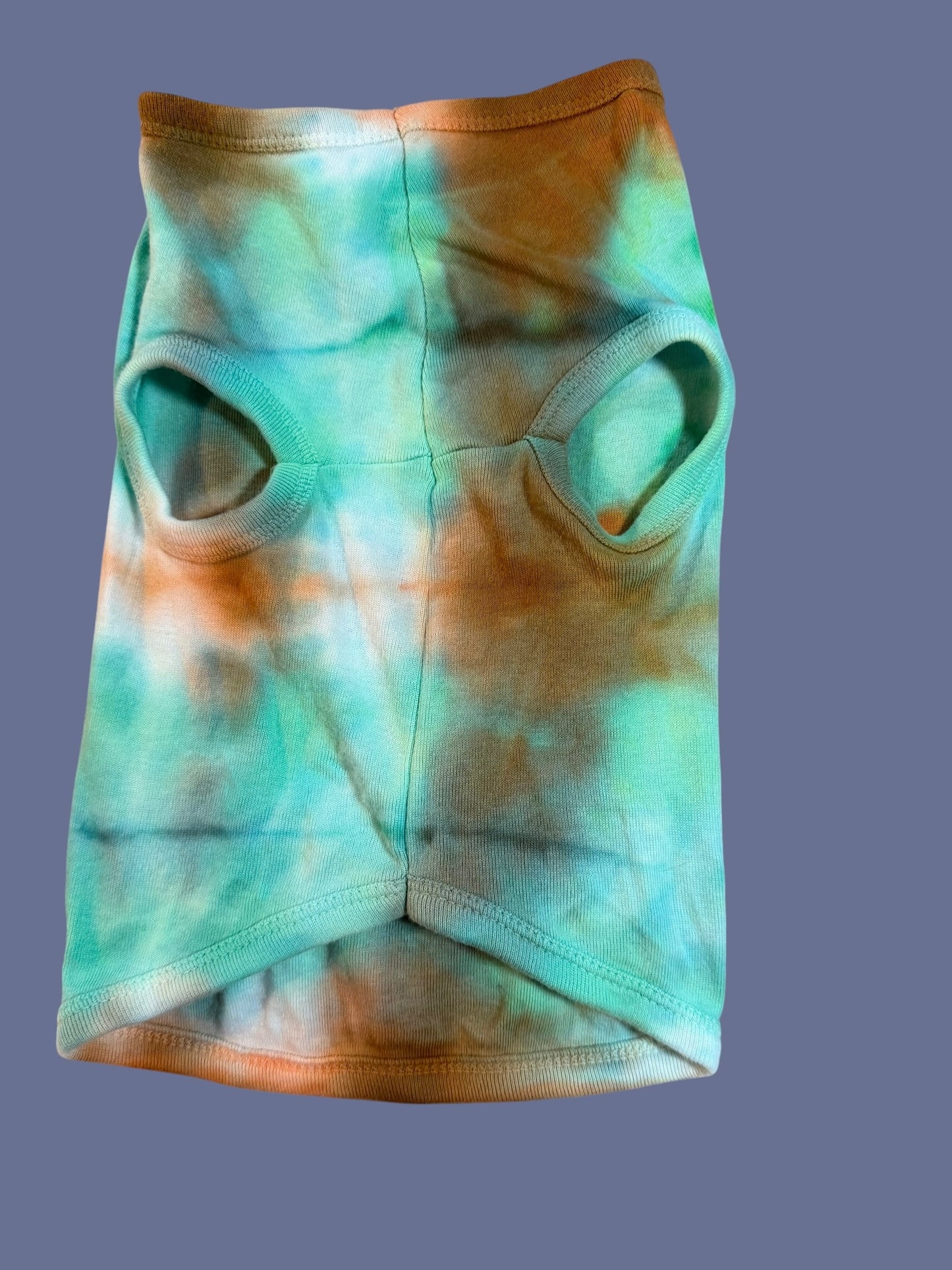 Dog (and other 4legged smallish creatures) shirts